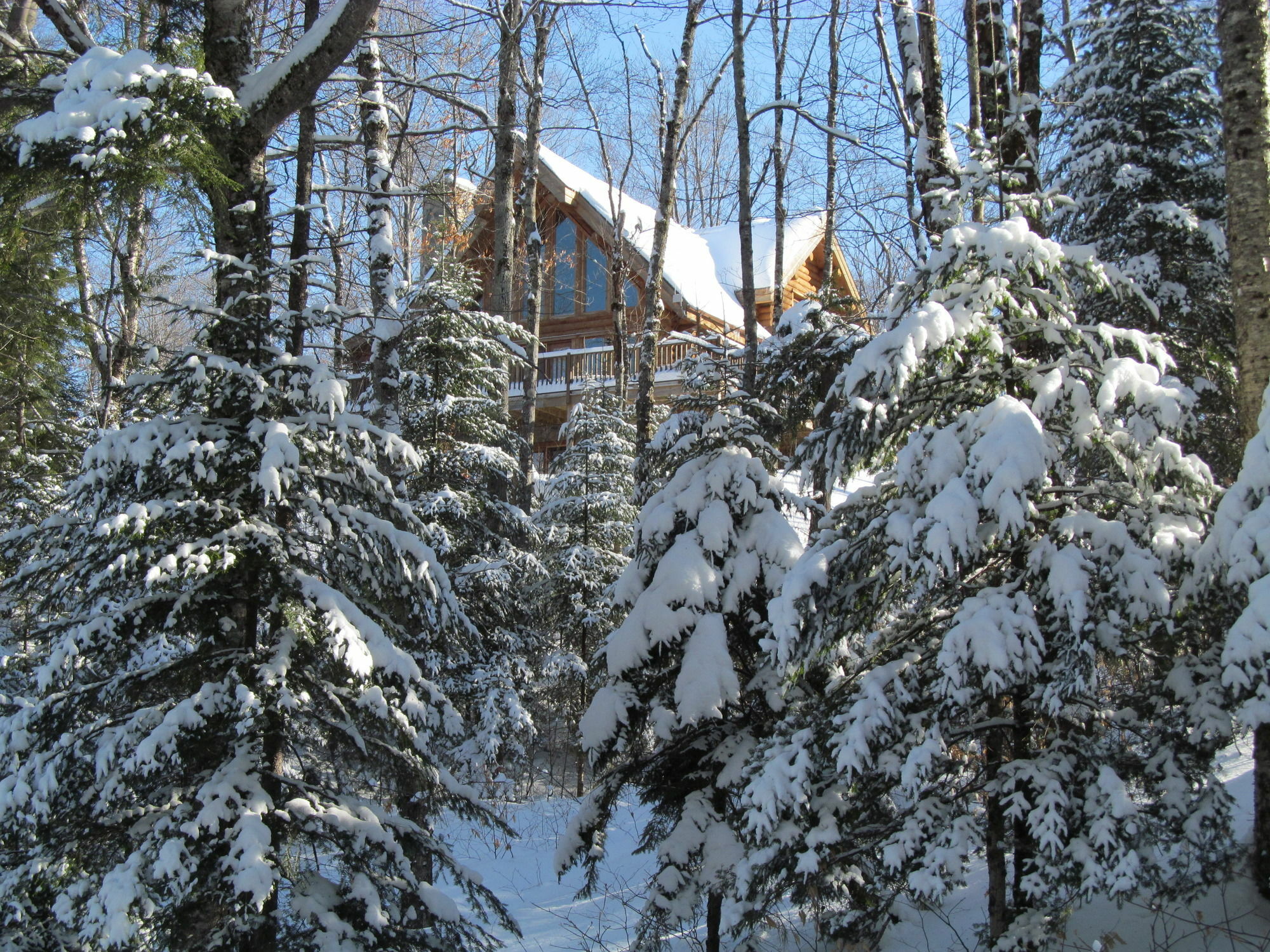 Blueberry Lake Resort Labelle Exterior photo